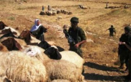 Liberado el pastor libanés secuestrado por un comando israelí